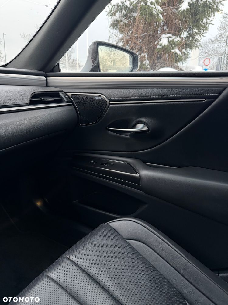 Lexus ES 300h F Sport - 24