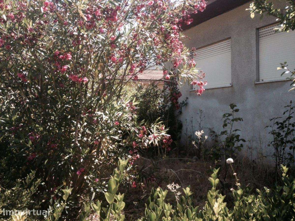 Quarto - localizado em Paredes de Ferreira Porto - Grande imagem: 5/8