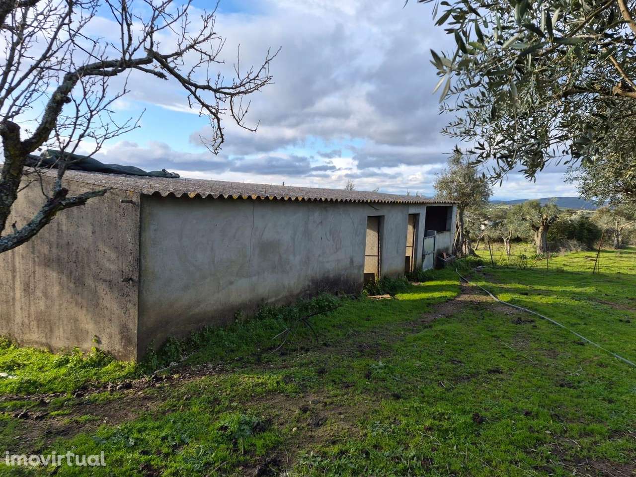 Quinta - Grande imagem: 3/15