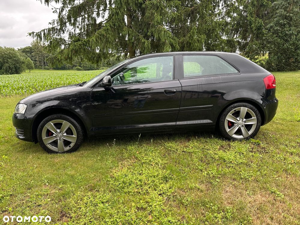 Audi A3 3-drzwiowe 1.6 Ambiente - 7