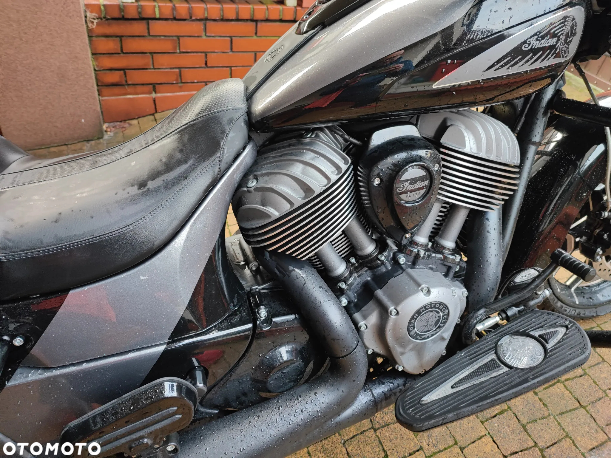 Indian Chieftain - 6