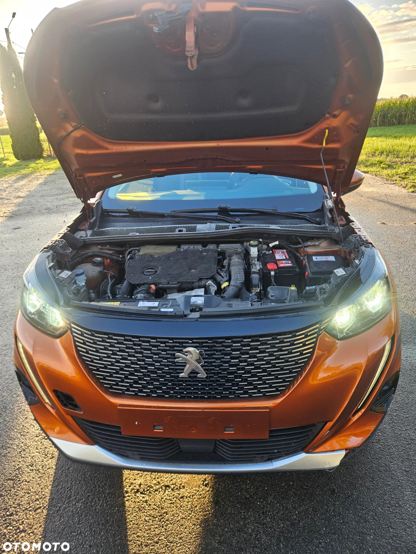Peugeot 2008 1.5 BlueHDi Allure - 5