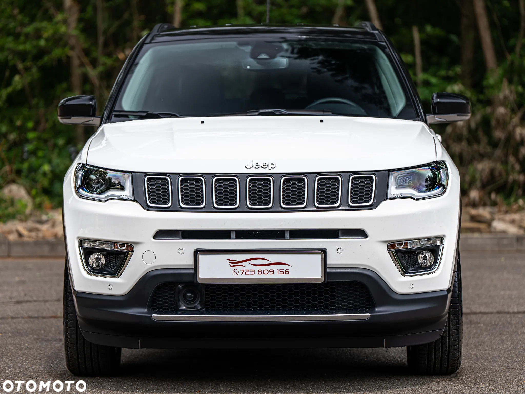 Jeep Compass 1.4 TMair Limited 4WD S&S - 19