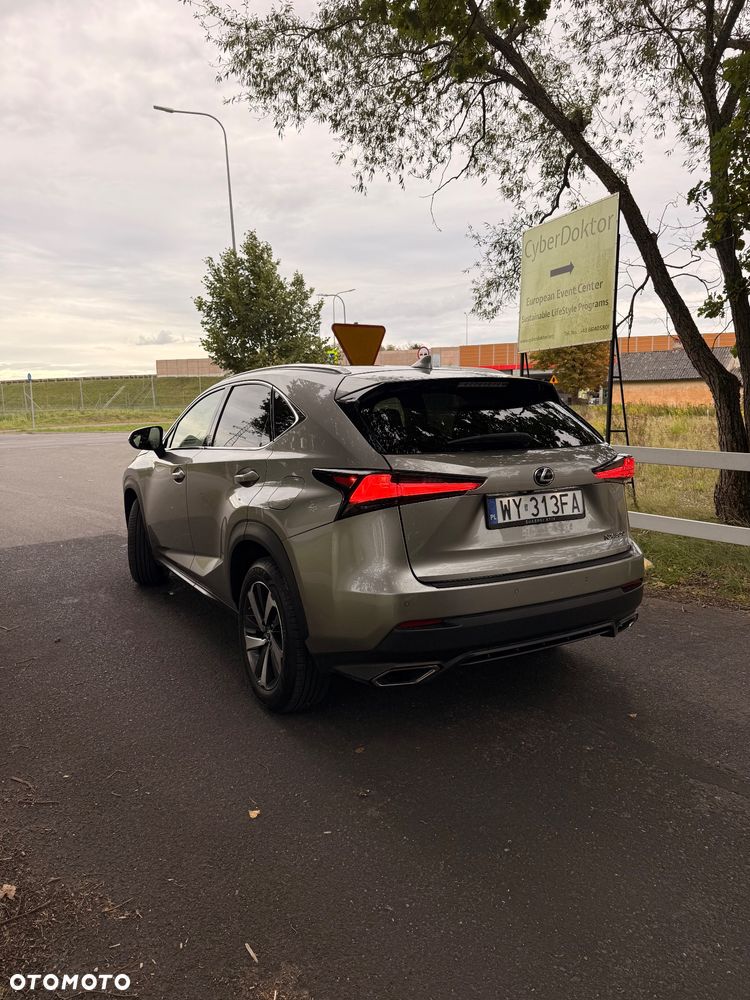 Lexus NX 300 Omotenashi AWD - 2