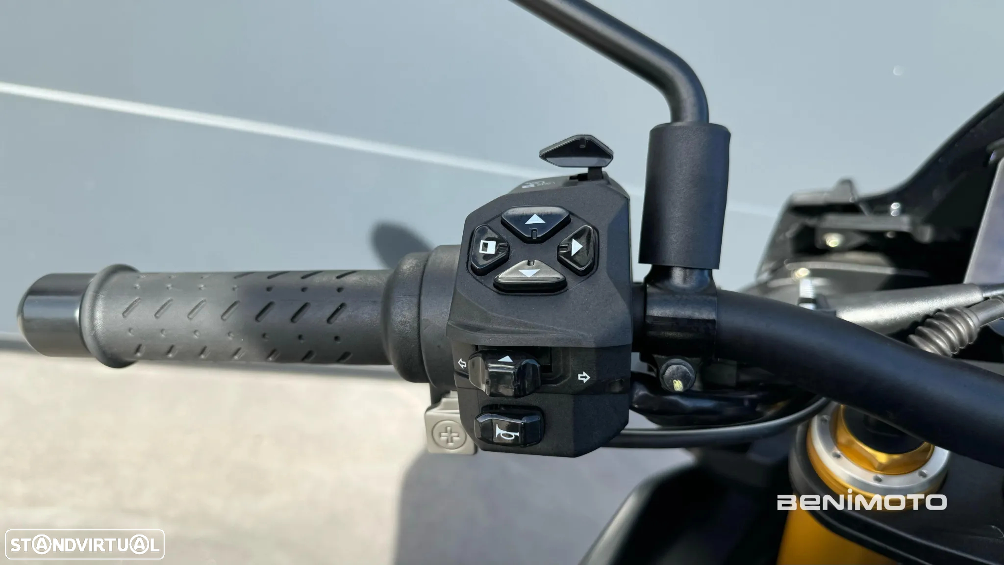 Aprilia Tuono V4 1100 - 16