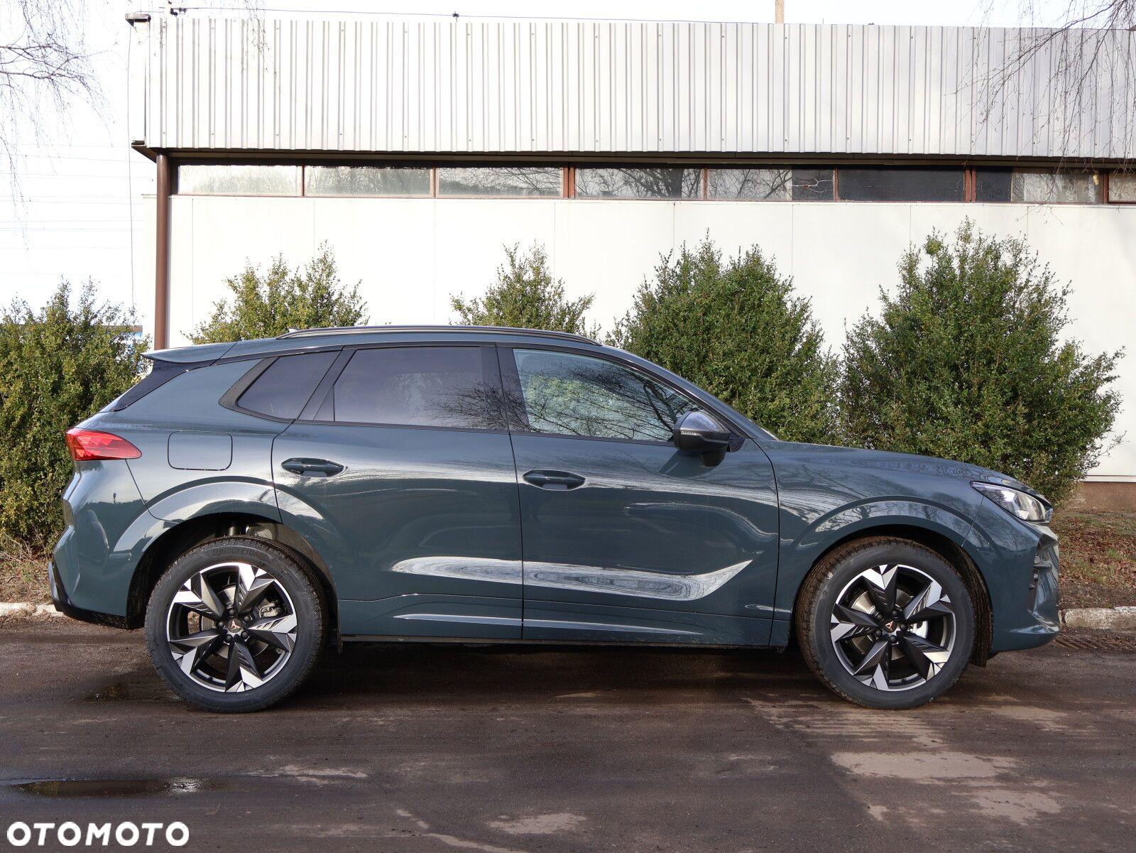 Cupra Terramar 1.5 eTSI mHEV DSG - 18