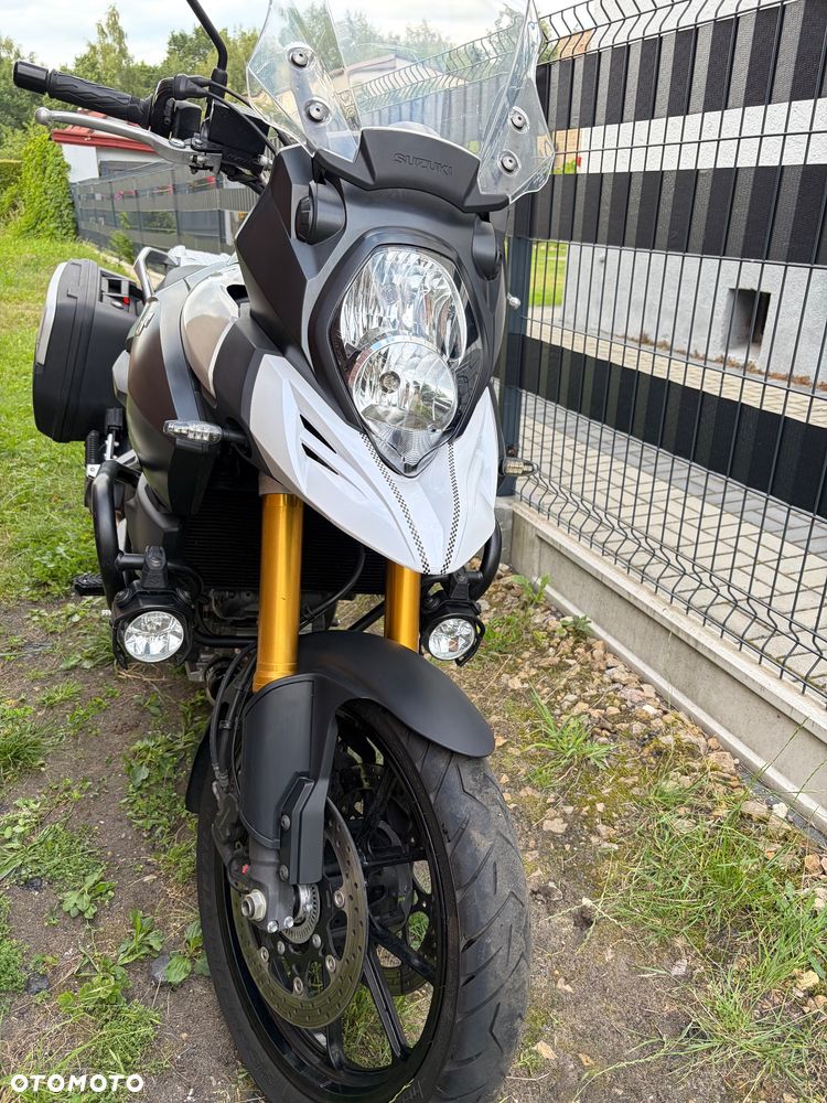 Suzuki DL - 23