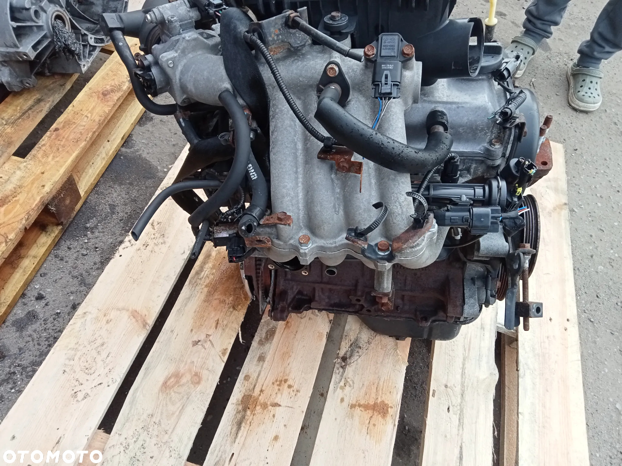 silnik picanto 1.0 g4he - 5