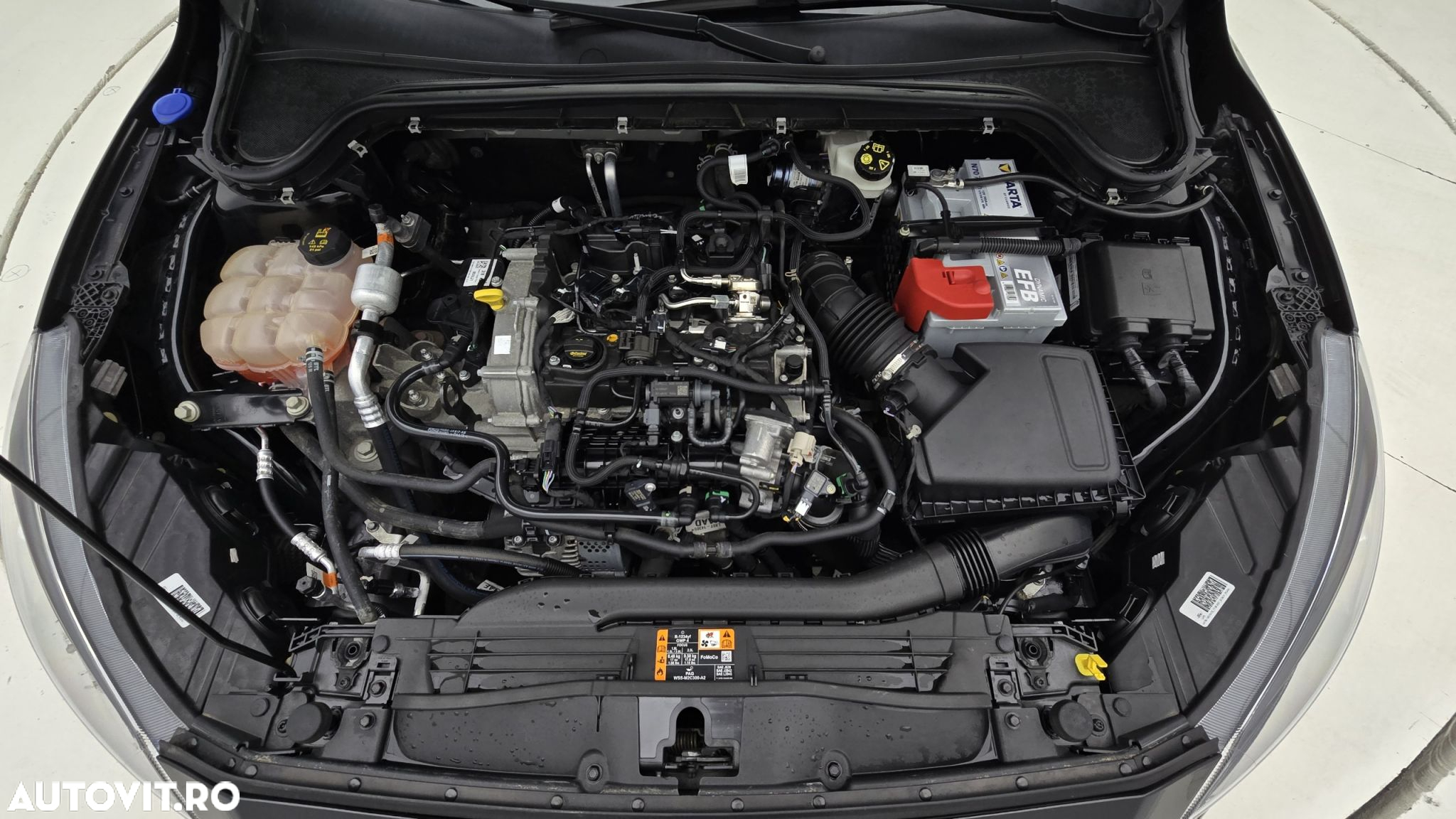 Ford Focus - 24