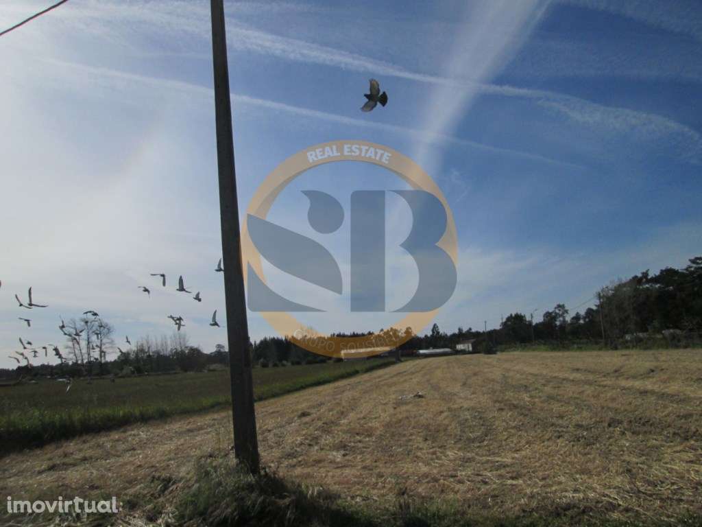 Terreno em Ovar - Grande imagem: 3/8