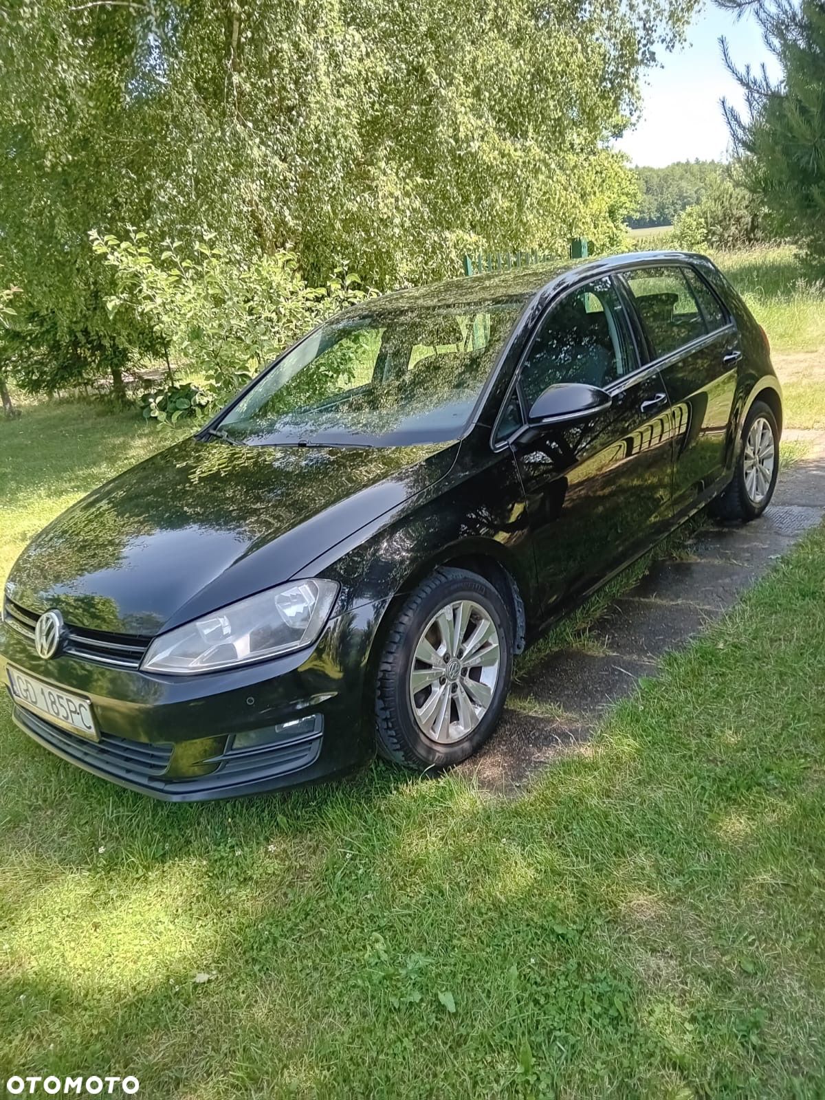 Volkswagen Golf VI 1.6 TDI 4Mot Comfortline - 1