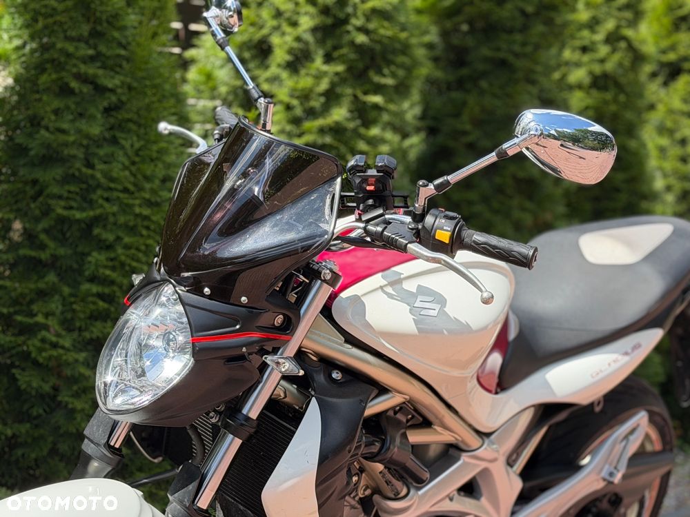 Suzuki Gladius - 18