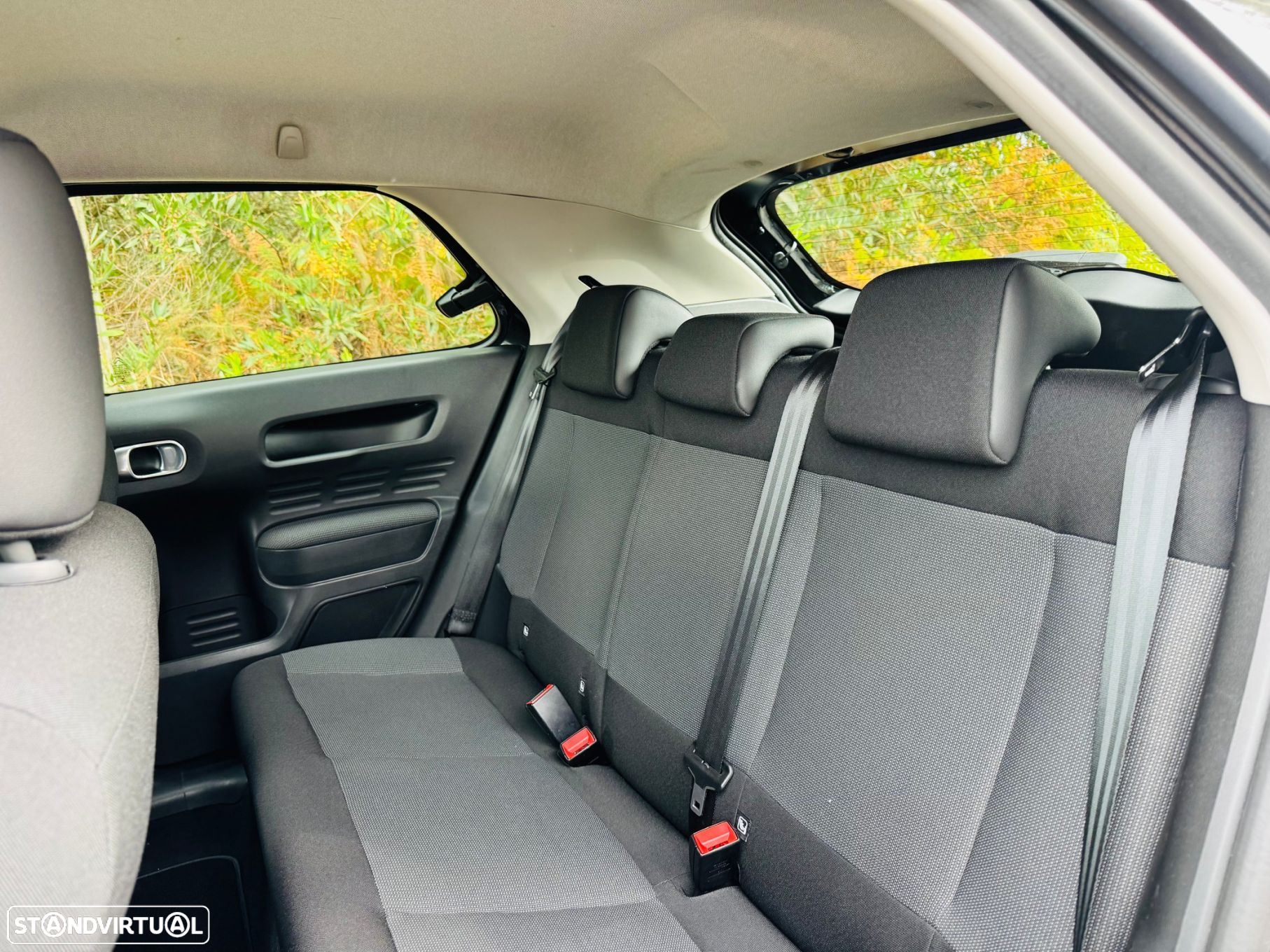 Citroën C4 Cactus 1.6 BlueHDi Shine - 35
