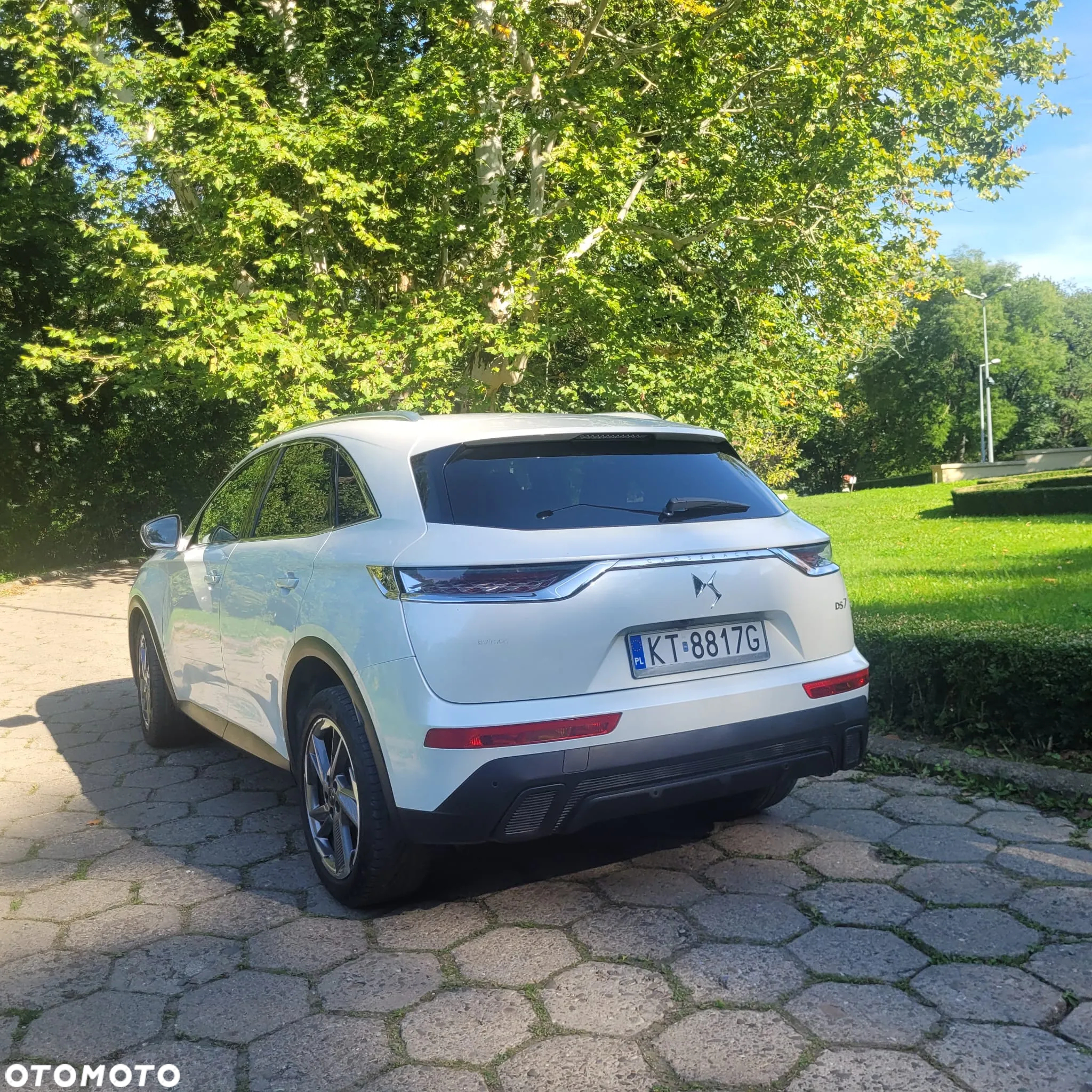 DS Automobiles DS 7 Crossback 1.5 BlueHDi Chic - 14