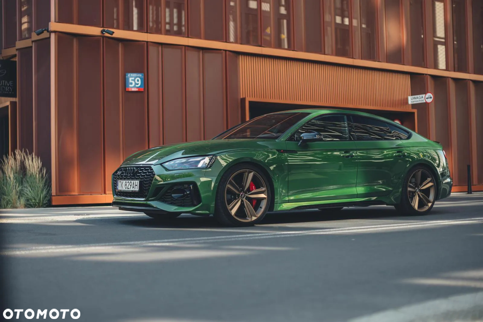 Audi RS5 2.9 TFSI Quattro Tiptronic - 3