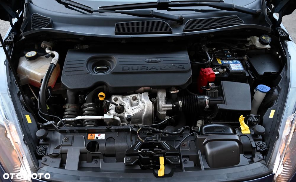 Ford Fiesta - 33