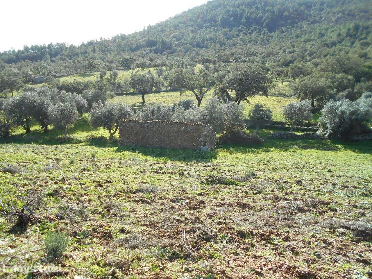 Terreno - Grande imagem: 4/4