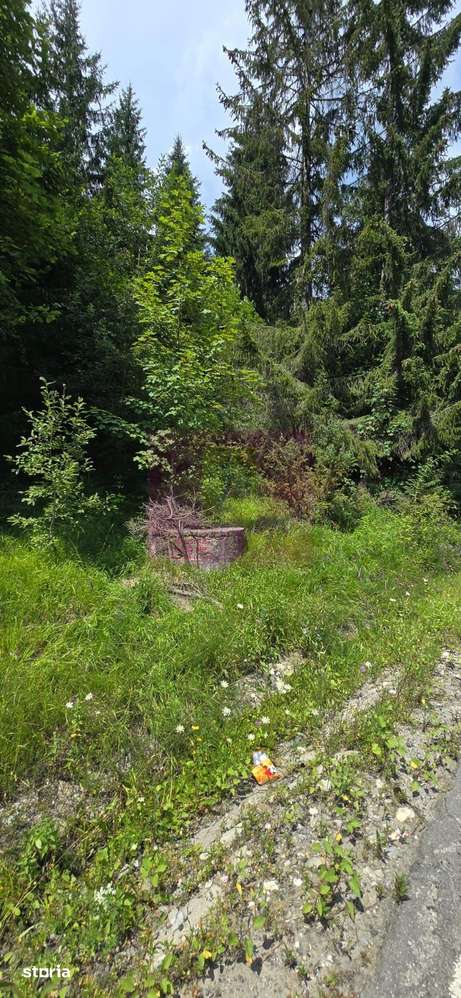 Teren de vânzare în zona Cota 1000 – Sinaia - Imagine principală: 4/10