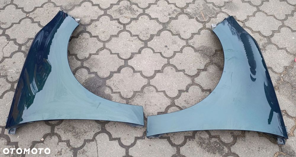 Scenic III błotnik przedni przód kolor TEDNH Grand Scenic III Renault - 1