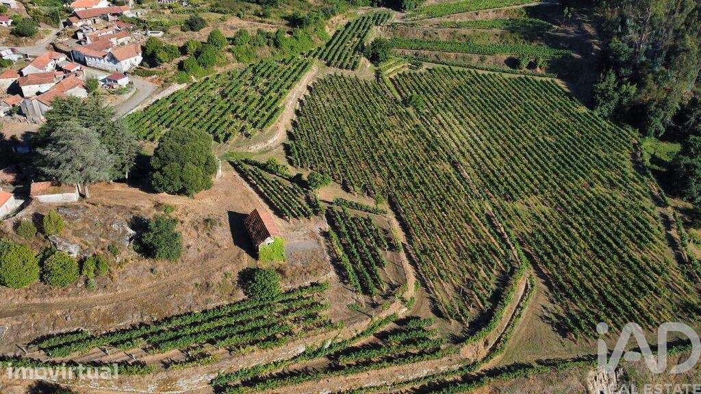 Quinta rural T2 em Figueiró de 136 m2 - Grande imagem: 2/25