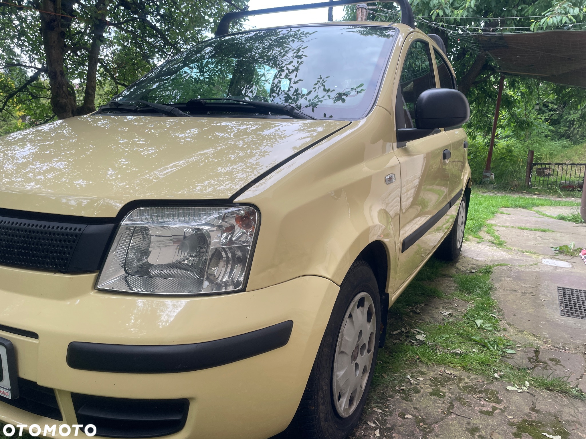 Fiat Panda 1.2 Mylife Eco - 6