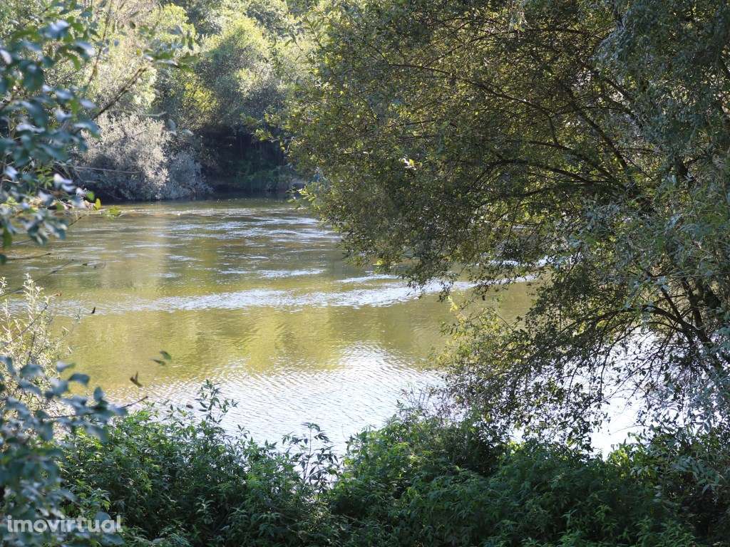 Terreno agrícola em Refóios, Ponte de Lima - Grande imagem: 4/9