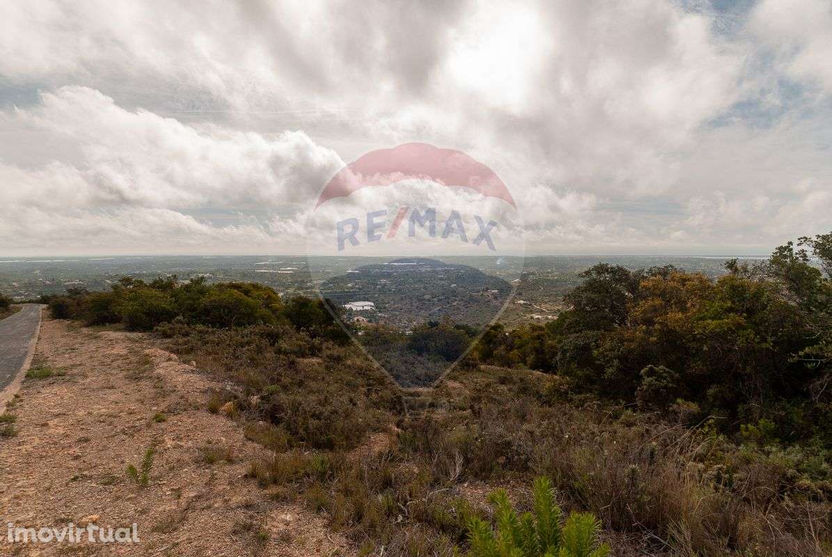 Terreno  para venda - Grande imagem: 2/29