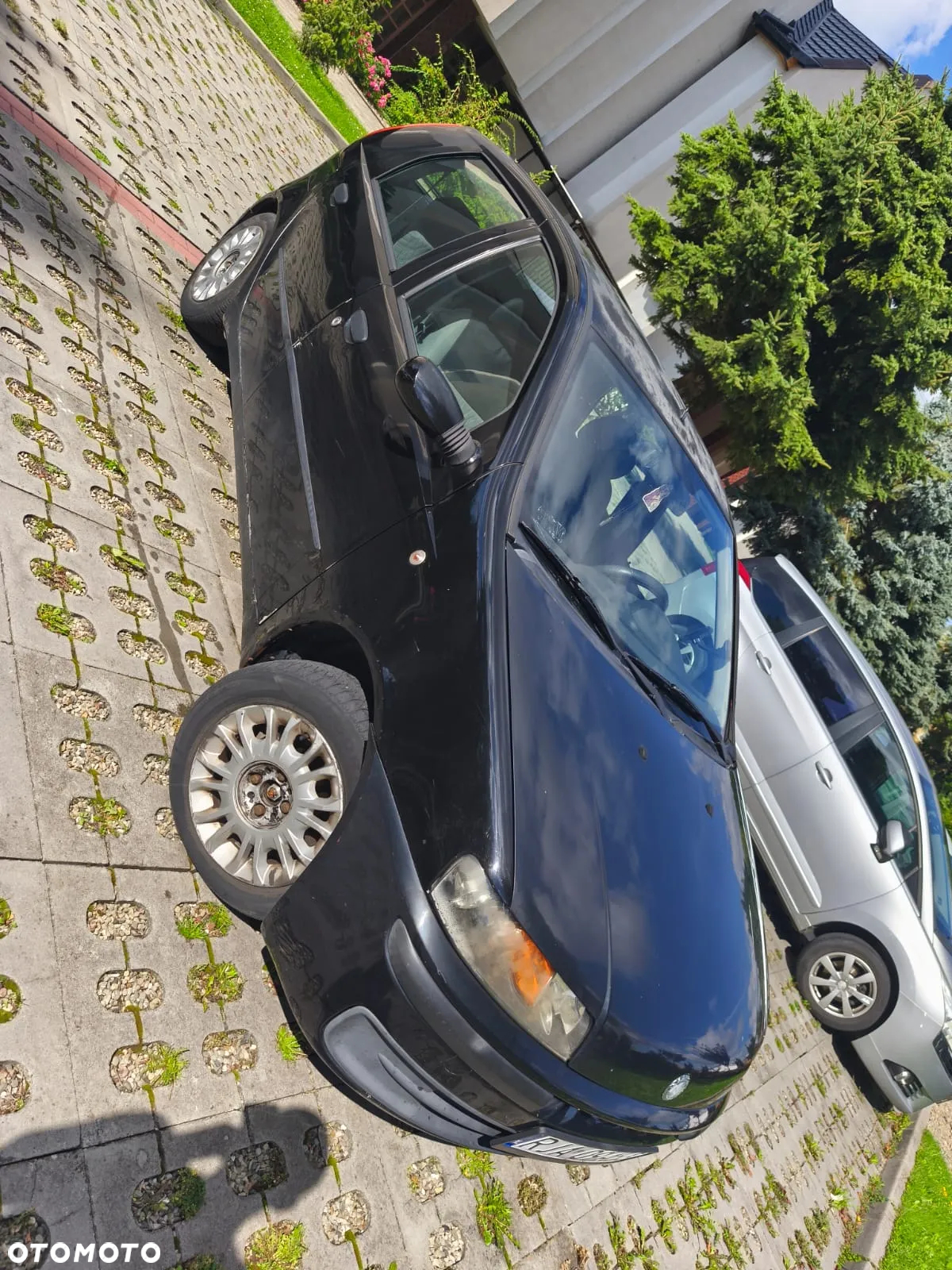 Fiat Punto - 3