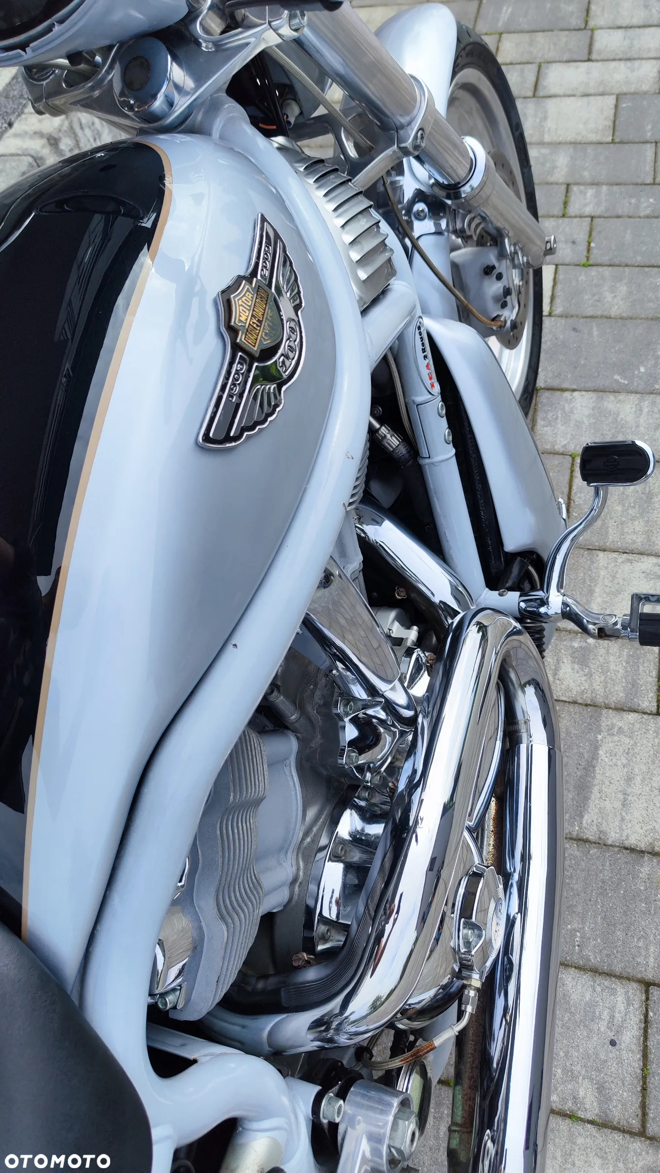 Harley-Davidson Softail V-Rod - 23