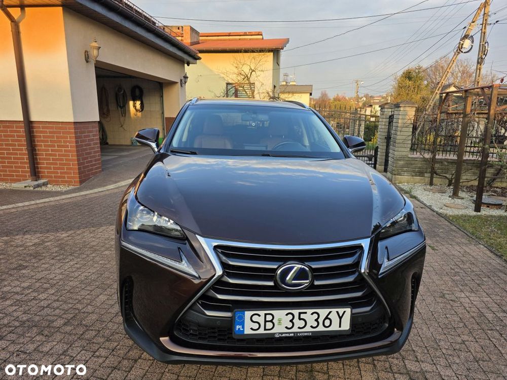 Lexus NX 300h Comfort AWD - 2