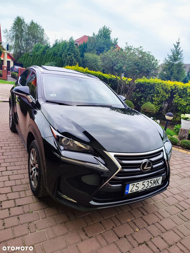 Lexus NX - 3