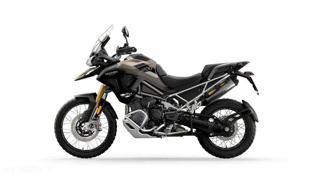 Triumph Tiger - 18