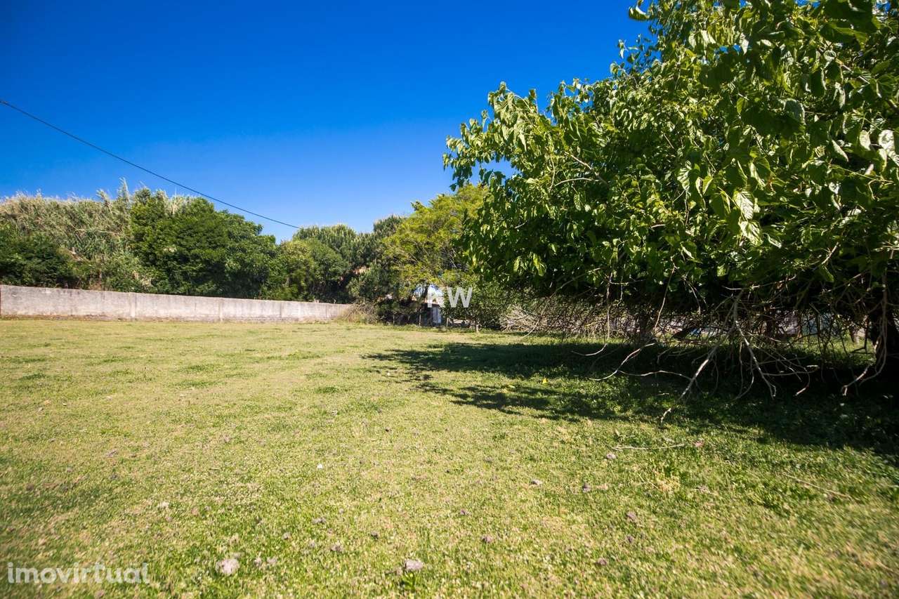OPORTUNIDADE-   - 15 minutos da Ericeira - Grande imagem: 5/38