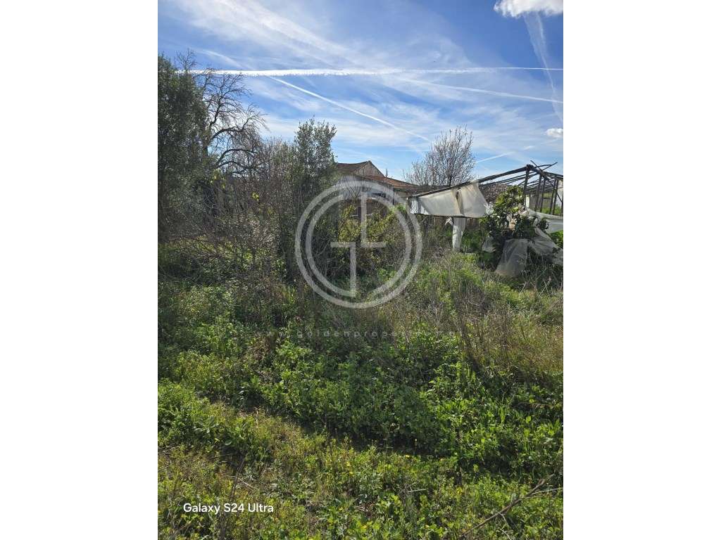 Terreno em Faro, Sitio do Besouro - Grande imagem: 5/6