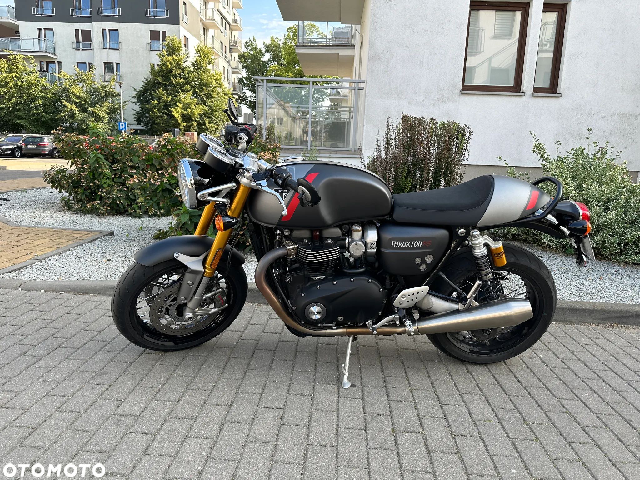 Triumph Thruxton - 1