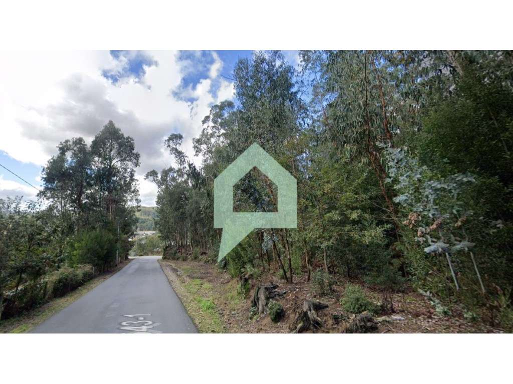 Terreno rústico com 13.000 m² em Alvito (São Pedro e São Martinho) ... - Grande imagem: 2/15