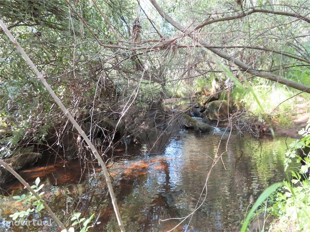 Quinta  para venda - Grande imagem: 2/25