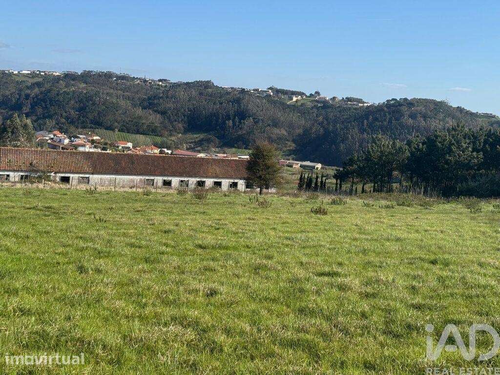 Terreno para construção em Alfeizerão - Grande imagem: 5/12