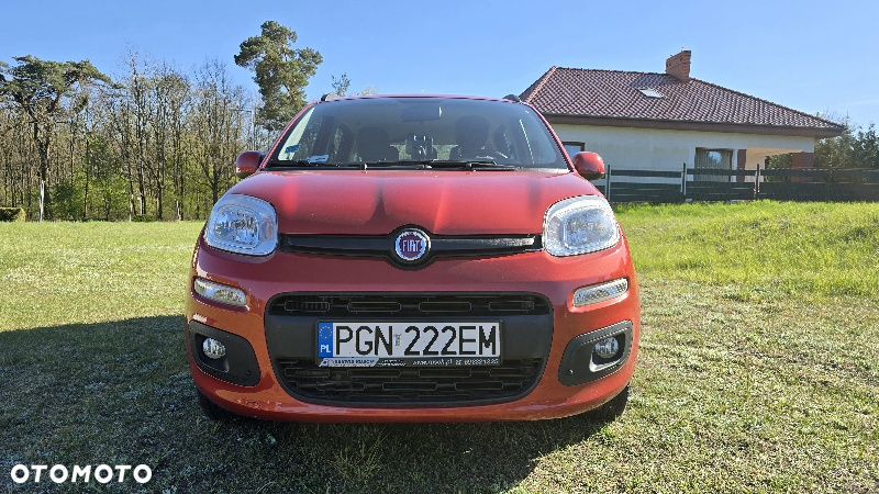 Fiat Panda - 1