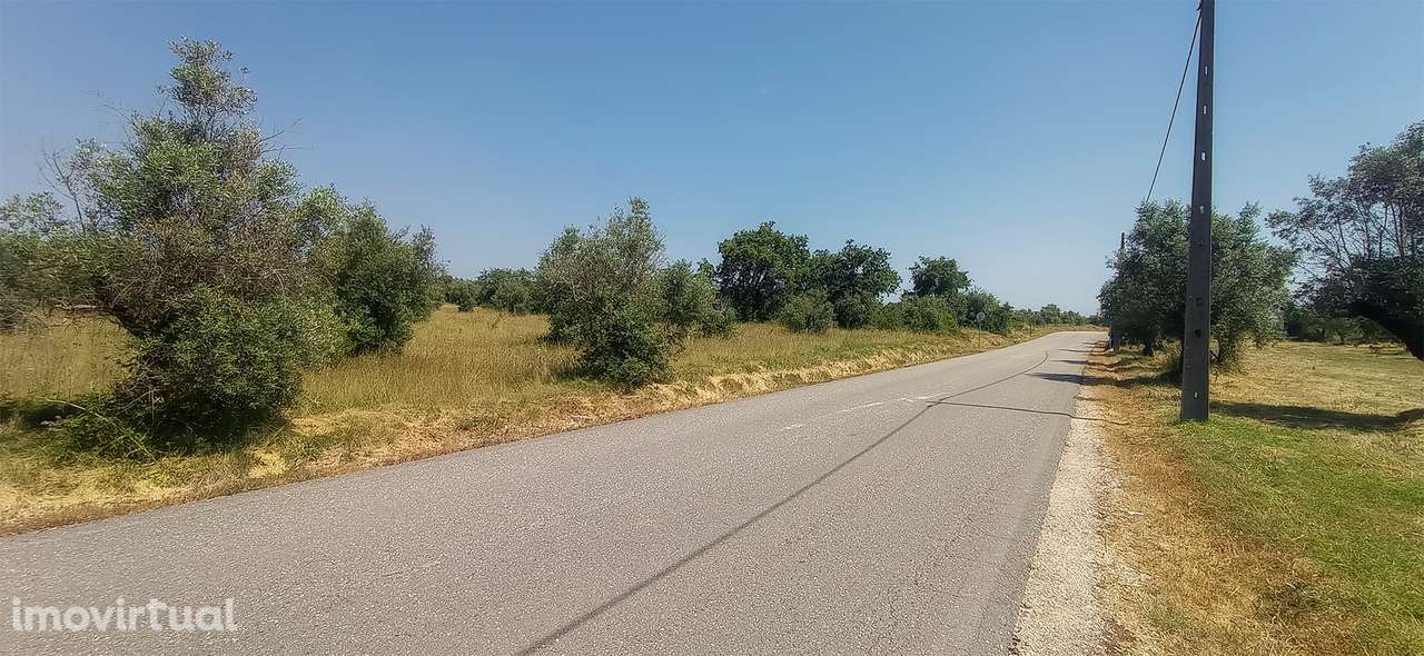 Terreno Rústico  Venda em Pussos São Pedro,Alvaiázere - Grande imagem: 2/58