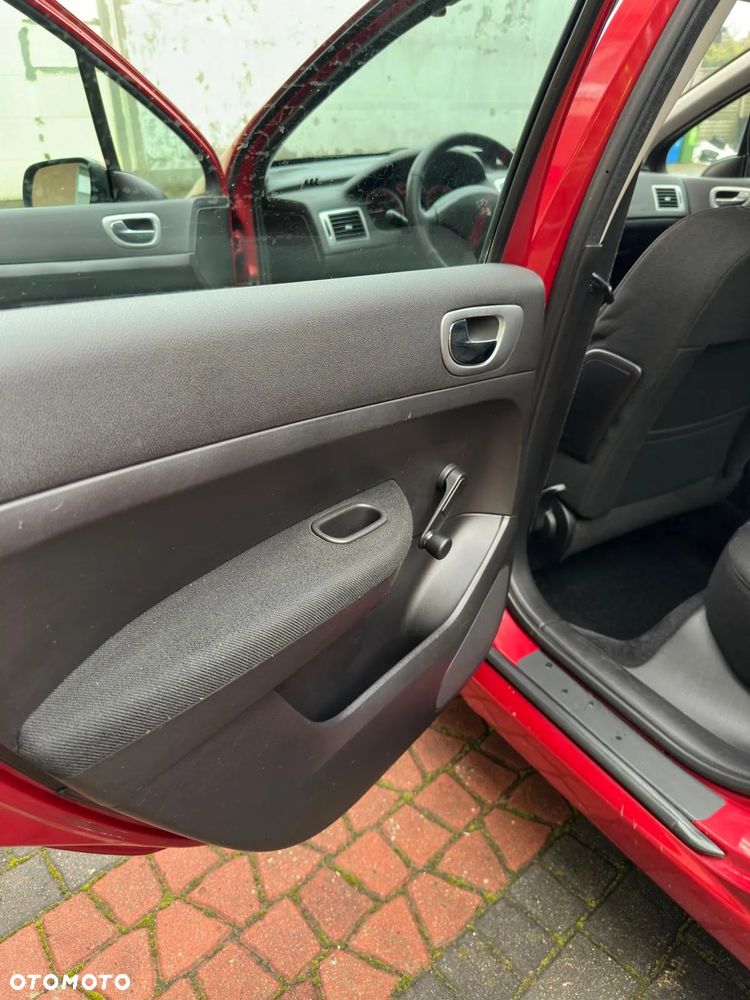 Peugeot 307 1.6 XS - 10