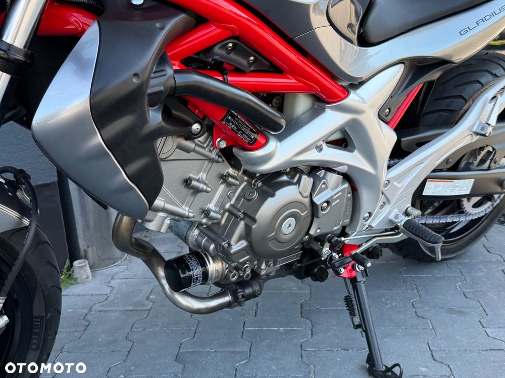 Suzuki Gladius - 38