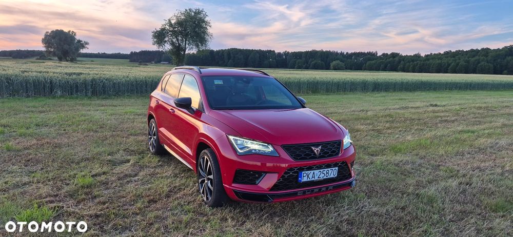 Cupra Ateca - 15