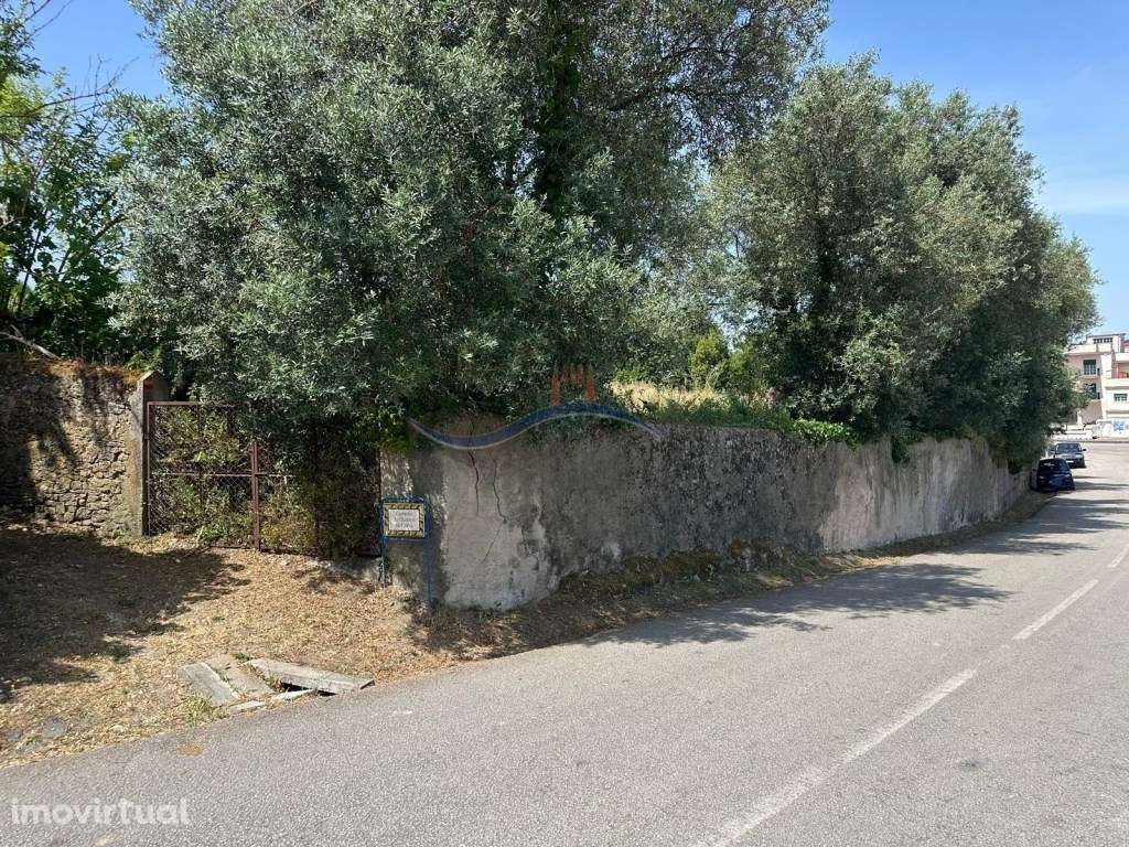 Terreno - Monte Real - Grande imagem: 5/14