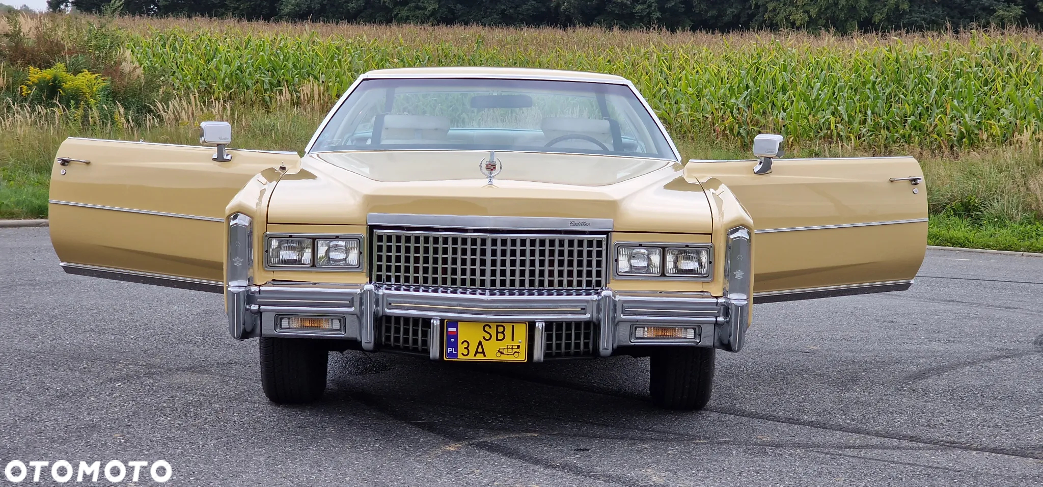 Cadillac Eldorado - 23