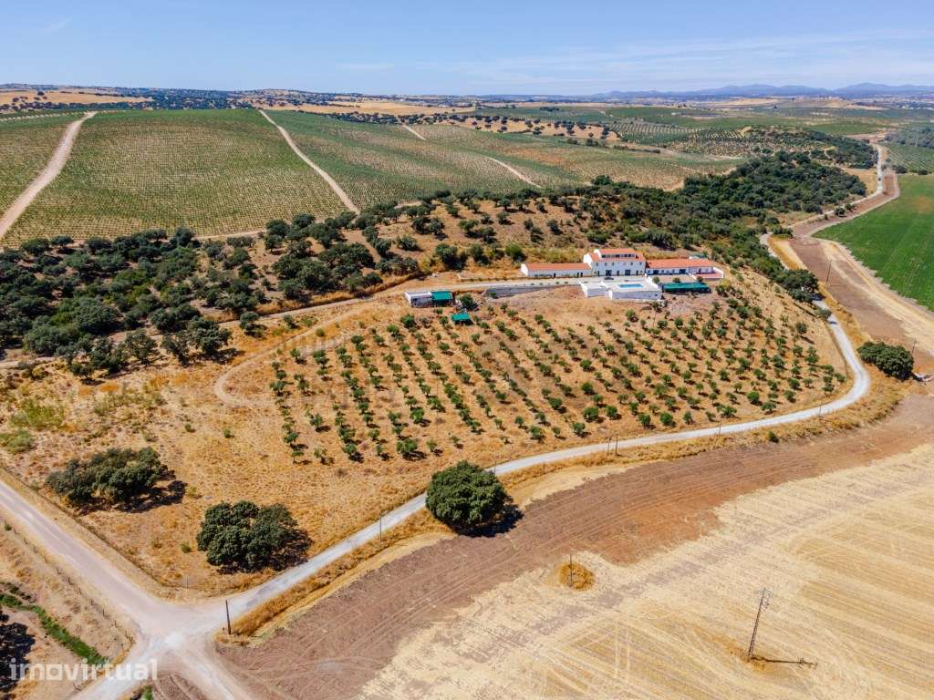Quinta em Campo Maior, para investimento em turismo rural ... - Grande imagem: 3/60