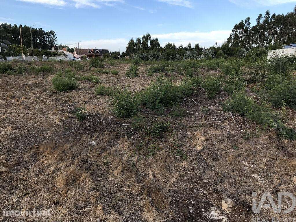 Terreno para construção em Ovar, São João, Arada e São Vicente de Pere - Grande imagem: 2/27
