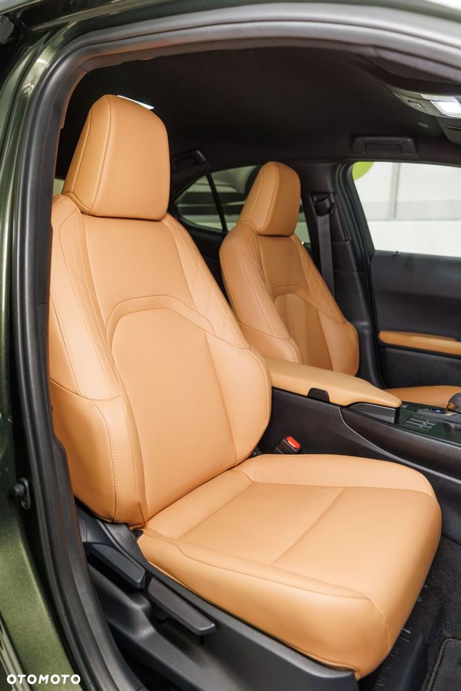 Lexus UX 300h F Sport Design - 16