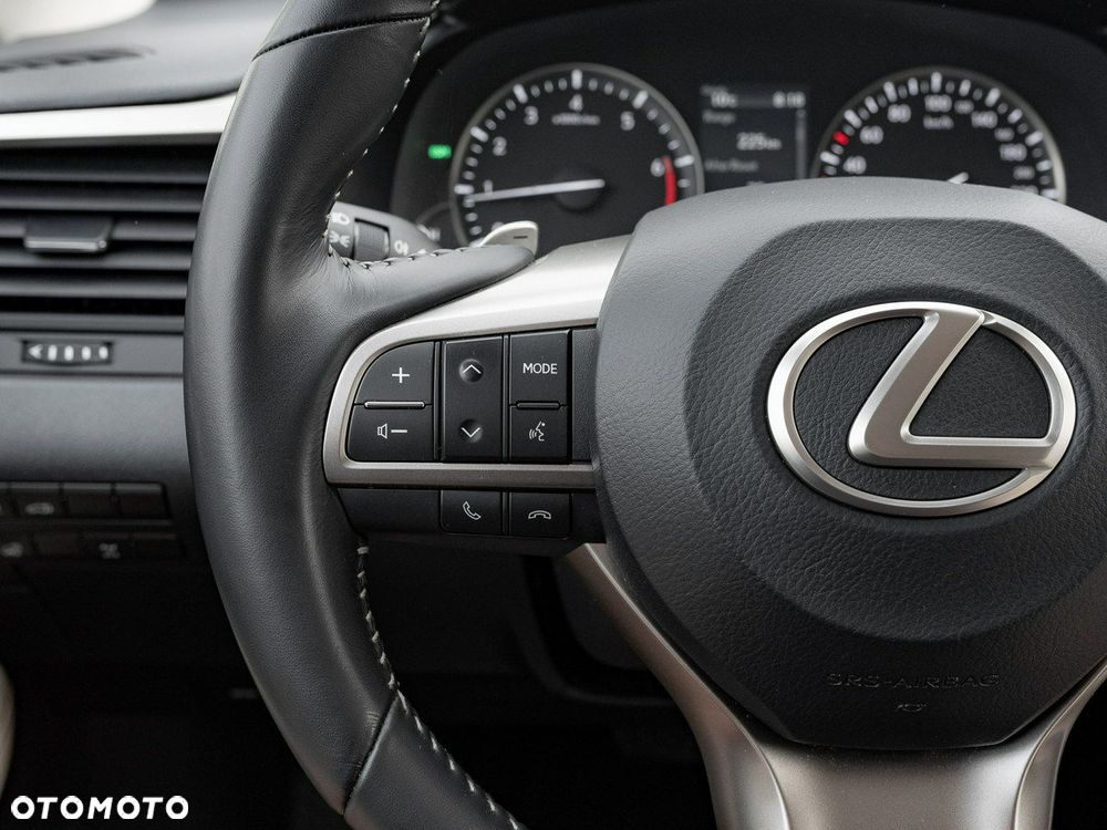 Lexus RX 300 Business Edition + - 17