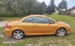Peugeot 307 - 12